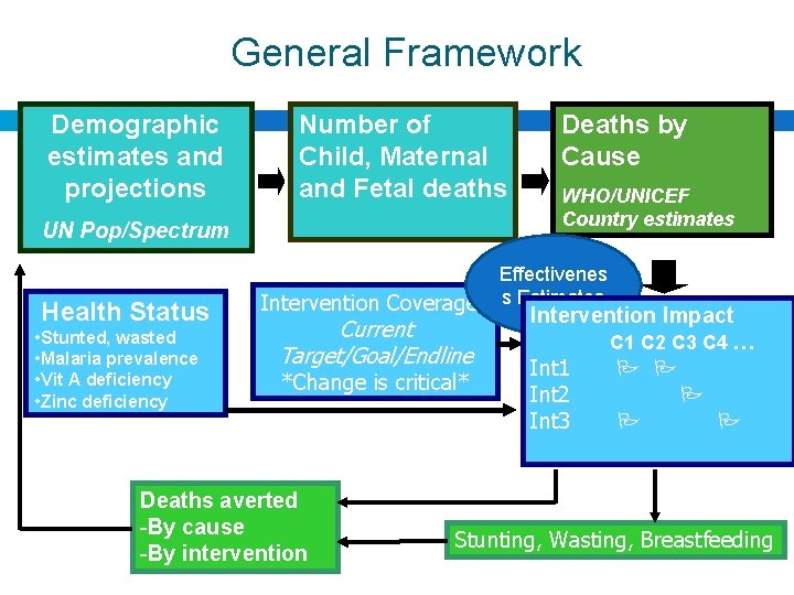 General Framework Demographic estimates and projections Number of Child, Maternal and Fetal deaths UN