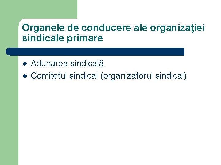 Organele de conducere ale organizaţiei sindicale primare l l Adunarea sindicală Comitetul sindical (organizatorul