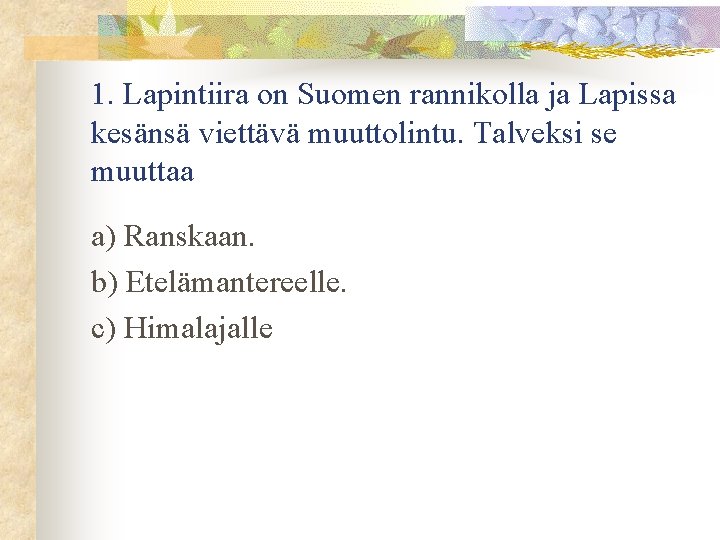 1. Lapintiira on Suomen rannikolla ja Lapissa kesänsä viettävä muuttolintu. Talveksi se muuttaa a)