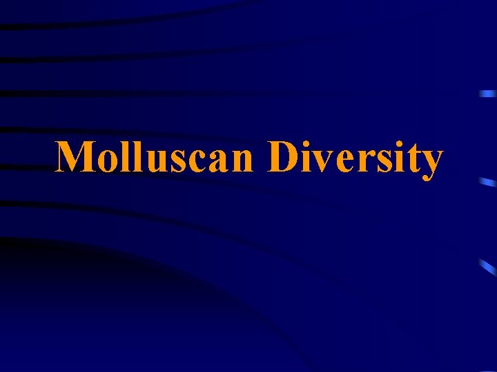 Molluscan Diversity 