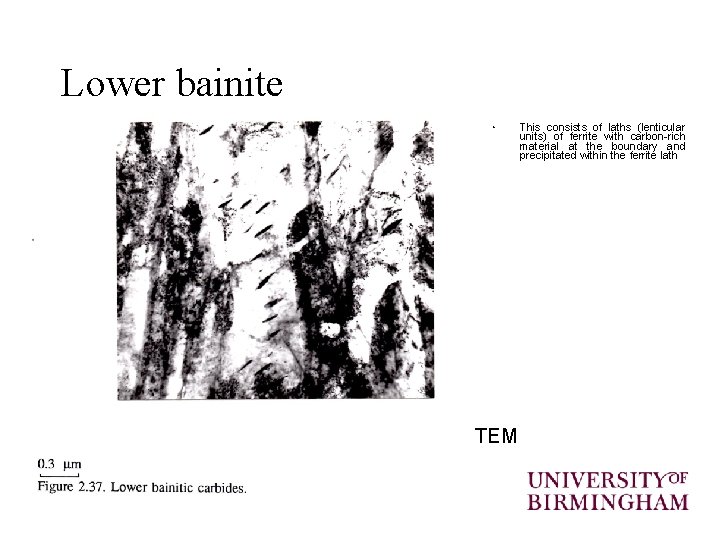 Lower bainite • TEM This consists of laths (lenticular units) of ferrite with carbon-rich