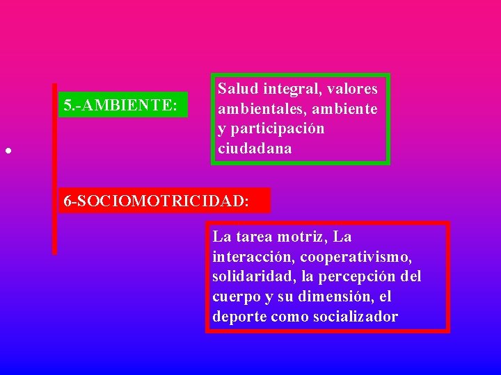  5. -AMBIENTE: • Salud integral, valores ambientales, ambiente y participación ciudadana 6 -SOCIOMOTRICIDAD: