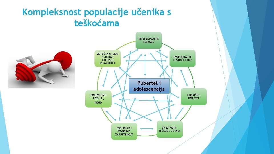 Kompleksnost populacije učenika s teškoćama INTELEKTUALNE TEŠKOĆE OŠTEĆENJA VIDA / SLUHA / TJELESNI INVALIDITET