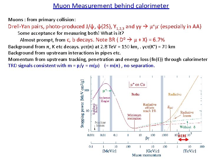 Muon Measurement behind calorimeter Muons : from primary collision: Drell-Yan pairs, photo-produced J/ψ, ψ(2