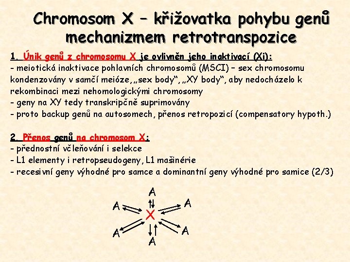 Chromosom X – křižovatka pohybu genů mechanizmem retrotranspozice 1. Únik genů z chromosomu X