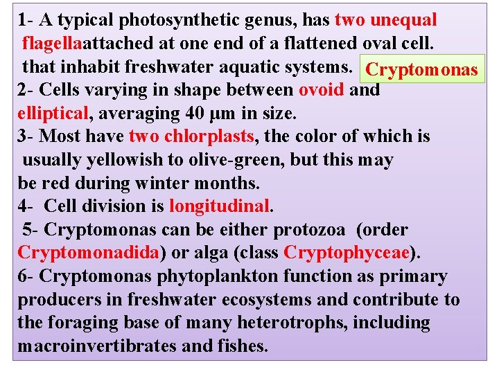 1 - A typical photosynthetic genus, has two unequal flagellaattached at one end of