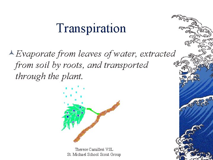 Transpiration ©Evaporate from leaves of water, extracted from soil by roots, and transported through