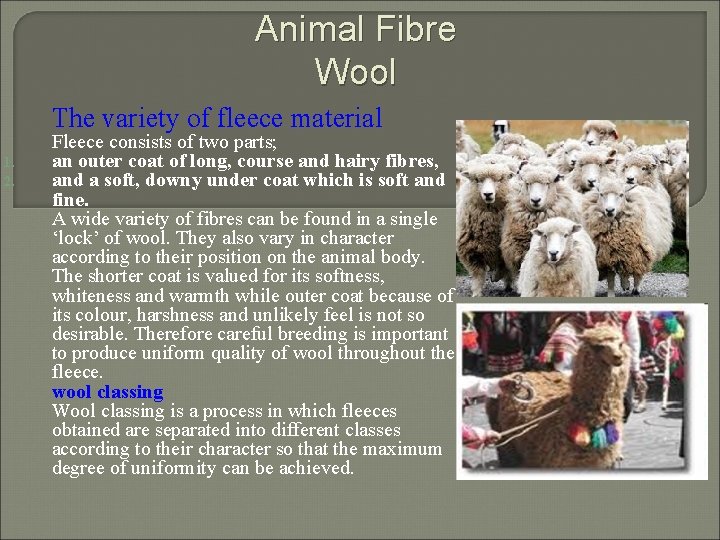 Animal Fibre Wool The variety of fleece material 1. 2. Fleece consists of two