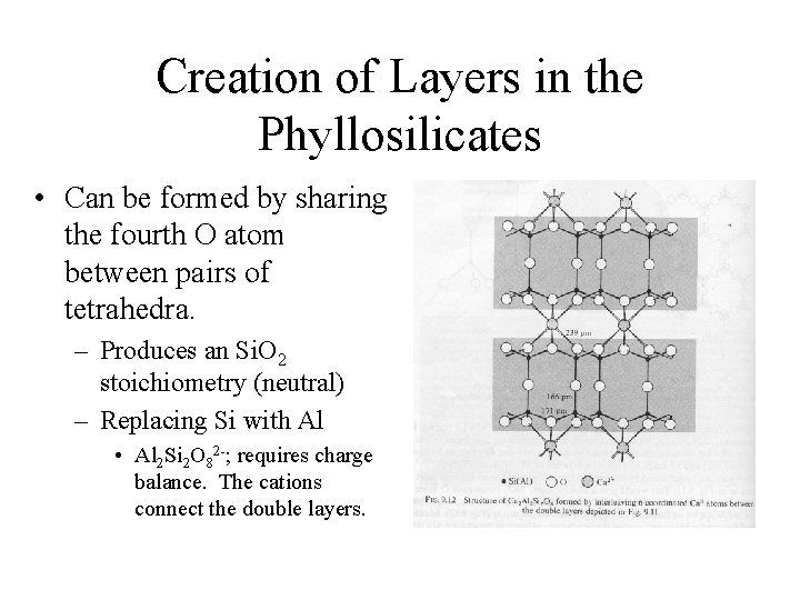Creation of Layers in the Phyllosilicates • Can be formed by sharing the fourth