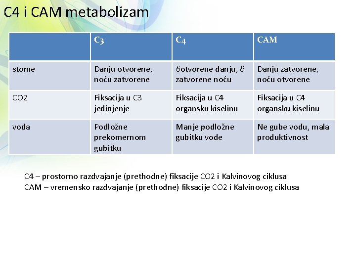 C 4 i CAM metabolizam C 3 C 4 CAM stome Danju otvorene, noću