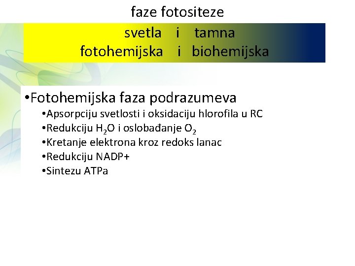 faze fotositeze svetla i tamna fotohemijska i biohemijska • Fotohemijska faza podrazumeva • Apsorpciju