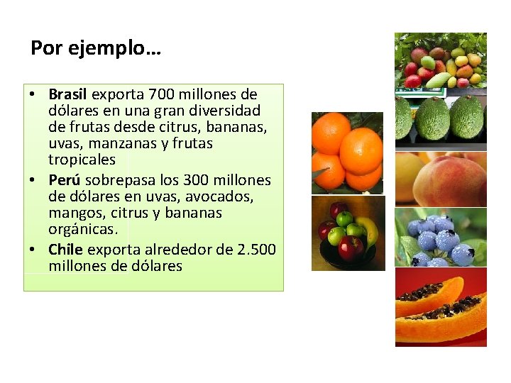 Por ejemplo… • Brasil exporta 700 millones de dólares en una gran diversidad de