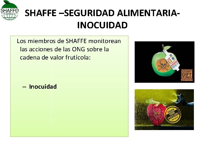 SHAFFE –SEGURIDAD ALIMENTARIAINOCUIDAD Los miembros de SHAFFE monitorean las acciones de las ONG sobre