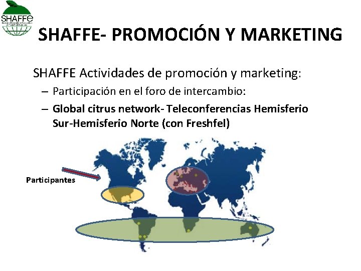 SHAFFE- PROMOCIÓN Y MARKETING SHAFFE Actividades de promoción y marketing: – Participación en el