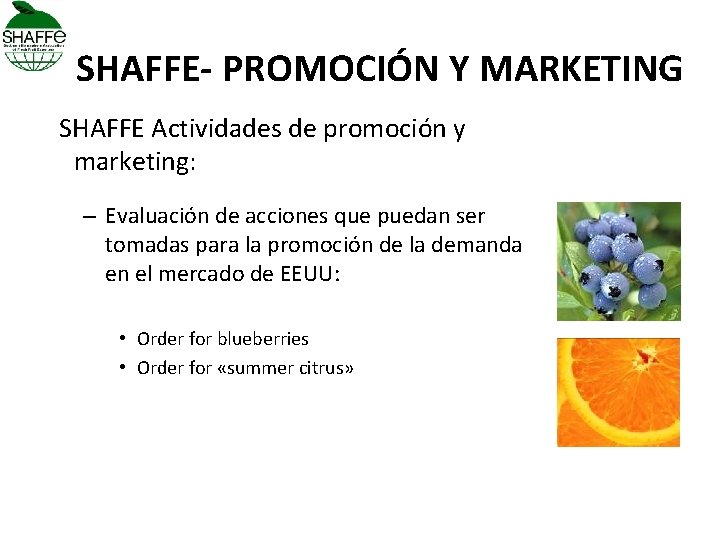 SHAFFE- PROMOCIÓN Y MARKETING SHAFFE Actividades de promoción y marketing: – Evaluación de acciones