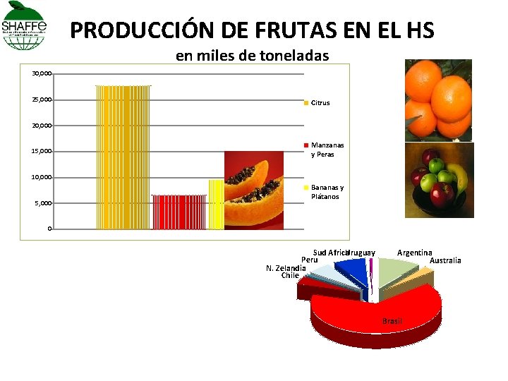 PRODUCCIÓN DE FRUTAS EN EL HS en miles de toneladas 30, 000 25, 000