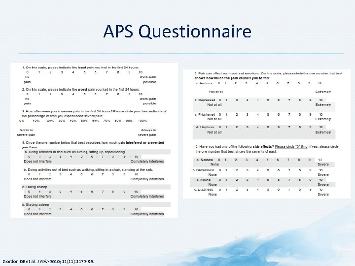 APS Questionnaire Gordon DB et al. J Pain 2010; 11(11): 1172 -86. 