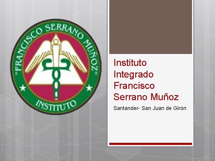 Instituto Integrado Francisco Serrano Muñoz Santander- San Juan de Girón 