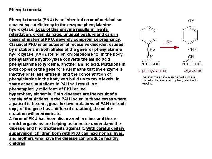 Phenylketonuria (PKU) is an inherited error of metabolism caused by a deficiency in the