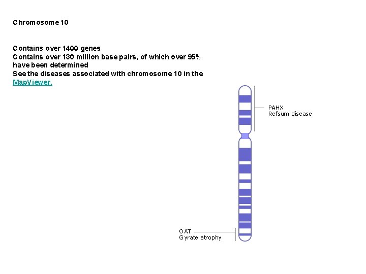 Chromosome 10 Contains over 1400 genes Contains over 130 million base pairs, of which