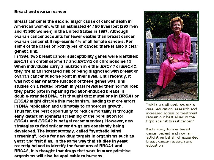 Breast and ovarian cancer Breast cancer is the second major cause of cancer death