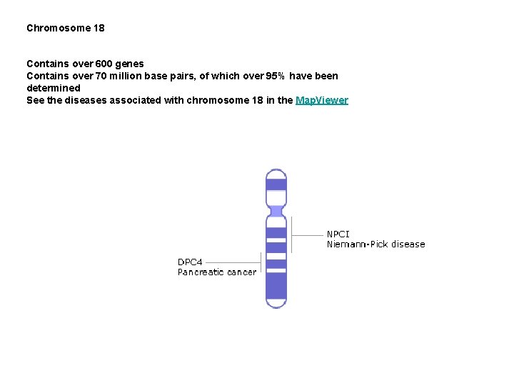 Chromosome 18 Contains over 600 genes Contains over 70 million base pairs, of which