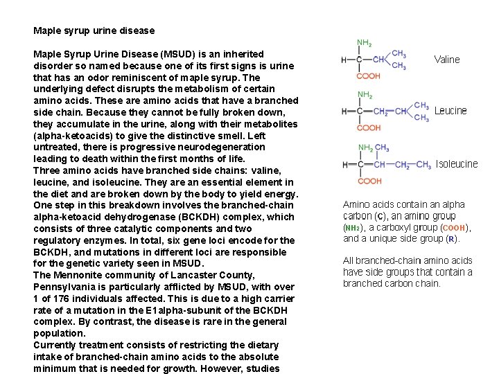 Maple syrup urine disease Maple Syrup Urine Disease (MSUD) is an inherited disorder so