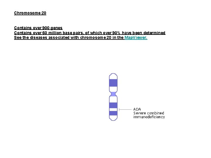 Chromosome 20 Contains over 900 genes Contains over 60 million base pairs, of which