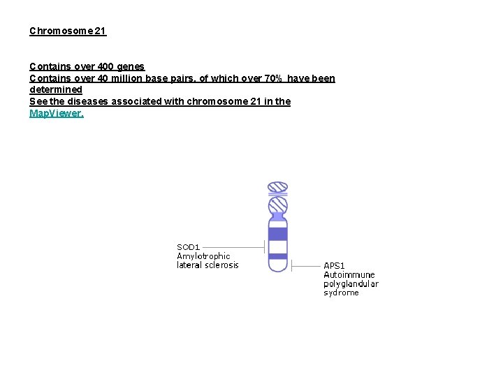 Chromosome 21 Contains over 400 genes Contains over 40 million base pairs, of which