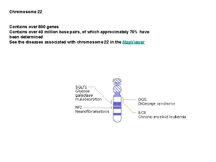 Chromosome 22 Contains over 800 genes Contains over 40 million base pairs, of which