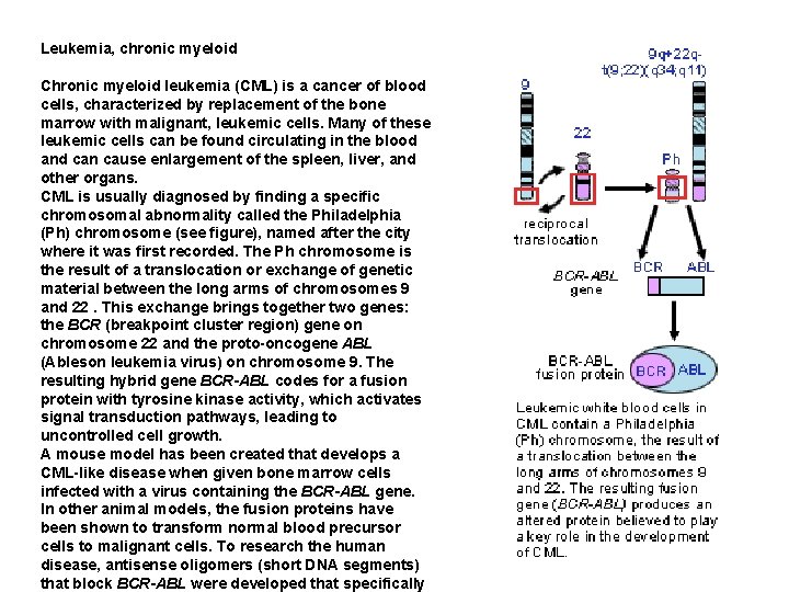 Leukemia, chronic myeloid Chronic myeloid leukemia (CML) is a cancer of blood cells, characterized