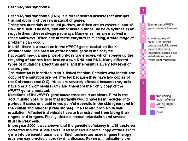 Lesch-Nyhan syndrome (LNS) is a rare inherited disease that disrupts the metabolism of the