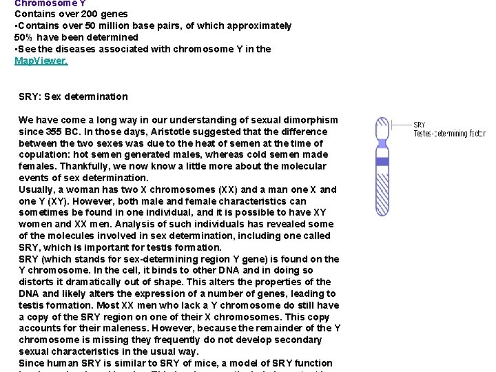 Chromosome Y Contains over 200 genes • Contains over 50 million base pairs, of