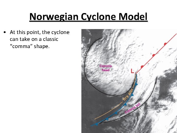Norwegian Cyclone Model • At this point, the cyclone can take on a classic