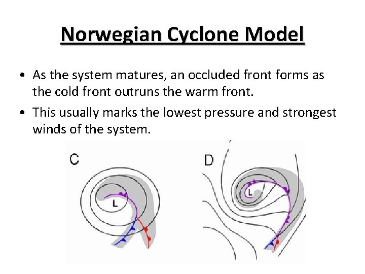 Norwegian Cyclone Model • As the system matures, an occluded front forms as the