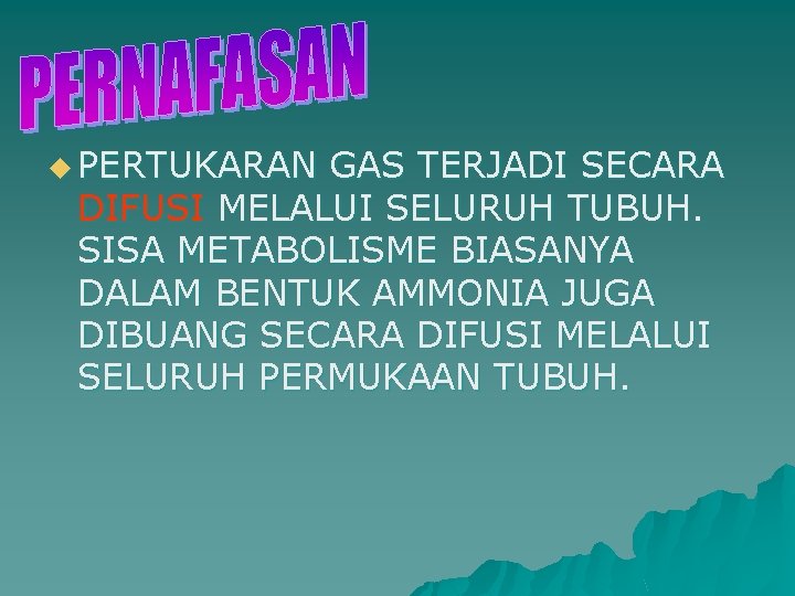 u PERTUKARAN GAS TERJADI SECARA DIFUSI MELALUI SELURUH TUBUH. SISA METABOLISME BIASANYA DALAM BENTUK