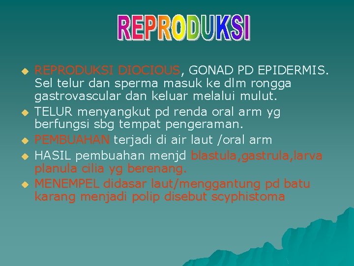 u u u REPRODUKSI DIOCIOUS, GONAD PD EPIDERMIS. Sel telur dan sperma masuk ke