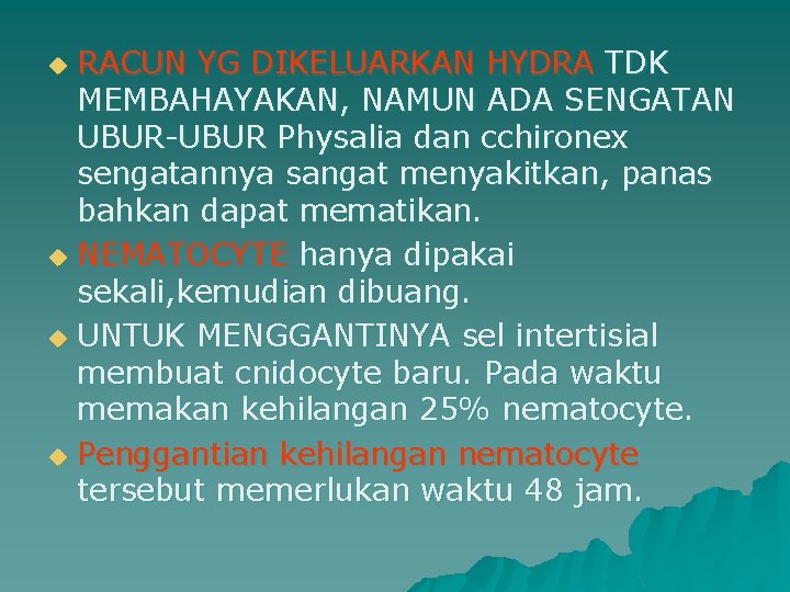 RACUN YG DIKELUARKAN HYDRA TDK MEMBAHAYAKAN, NAMUN ADA SENGATAN UBUR-UBUR Physalia dan cchironex sengatannya