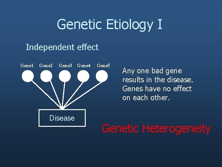 Genetic Etiology I Independent effect Gene 1 Gene 2 Gene 3 Disease Gene 4