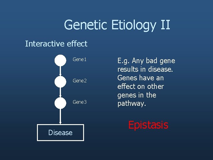 Genetic Etiology II Interactive effect Gene 1 Gene 2 Gene 3 Disease E. g.