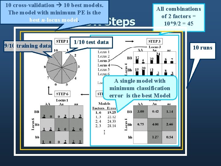 10 cross-validation 10 best models. The model with minimum PE is the best n-locus