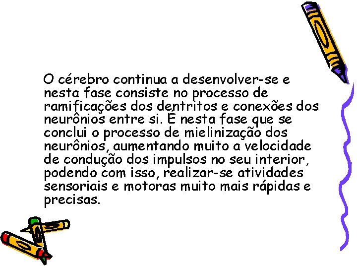 O cérebro continua a desenvolver-se e nesta fase consiste no processo de ramificações dos