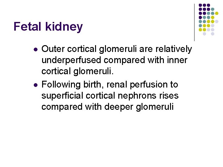 Fetal kidney l l Outer cortical glomeruli are relatively underperfused compared with inner cortical