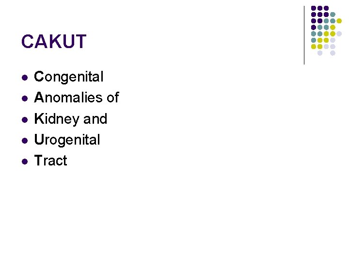 CAKUT l l l Congenital Anomalies of Kidney and Urogenital Tract 