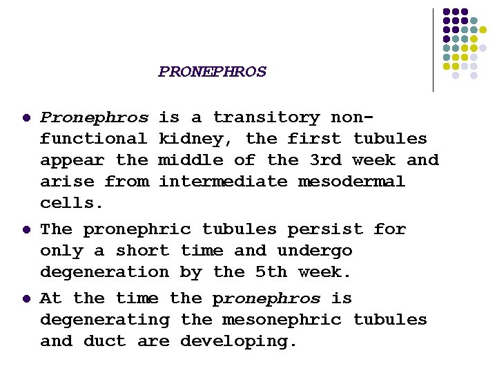 PRONEPHROS l l l Pronephros is a transitory nonfunctional kidney, the first tubules appear