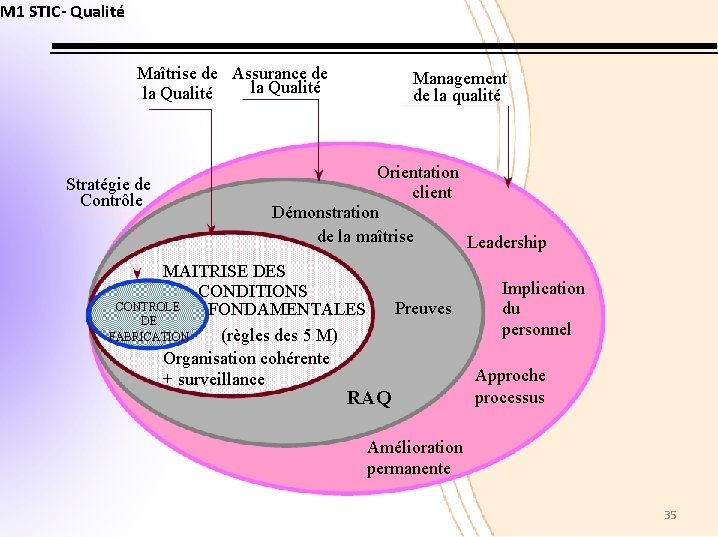 M 1 STIC- Qualité Maîtrise de Assurance de la Qualité Stratégie de Contrôle Management