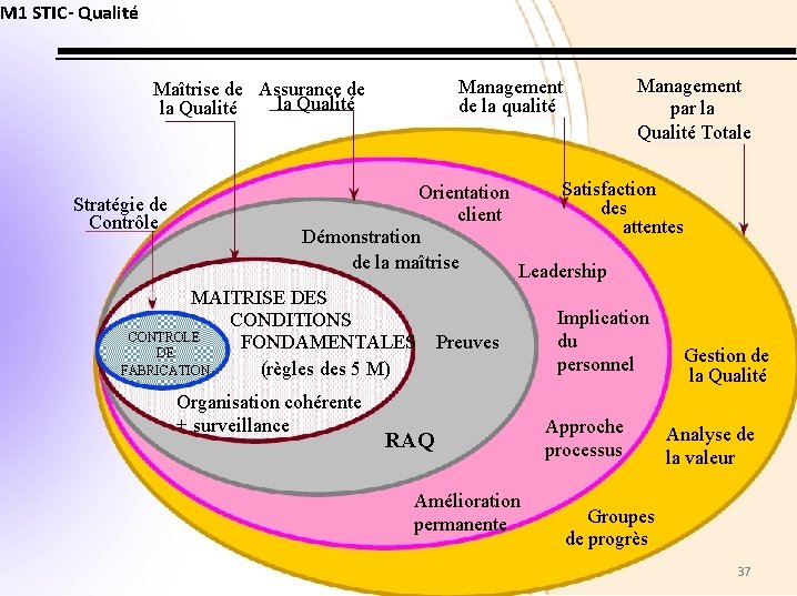 M 1 STIC- Qualité Management par la Qualité Totale Management de la qualité Maîtrise