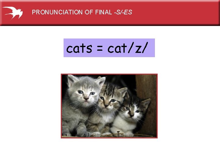 PRONUNCIATION OF FINAL -S/-ES cats = cat/z/ 