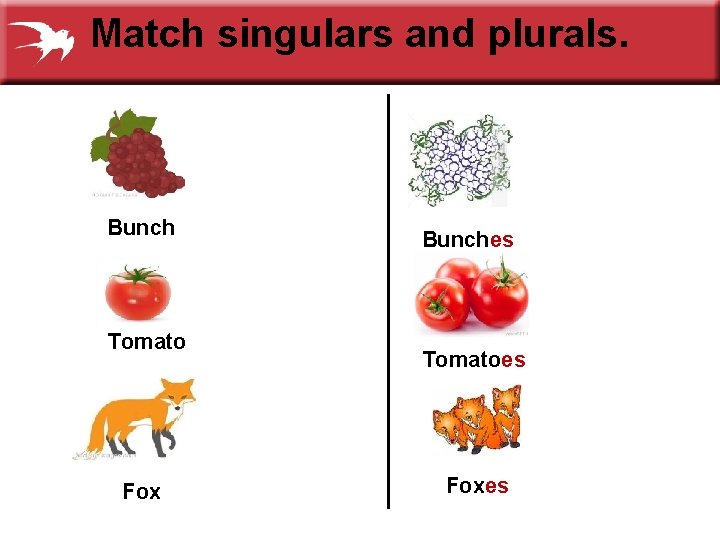 Match singulars and plurals. Bunch Tomato Fox Bunches Tomatoes Foxes 