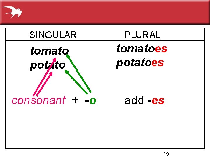 SINGULAR tomato potato consonant + -o PLURAL tomatoes potatoes add -es 19 